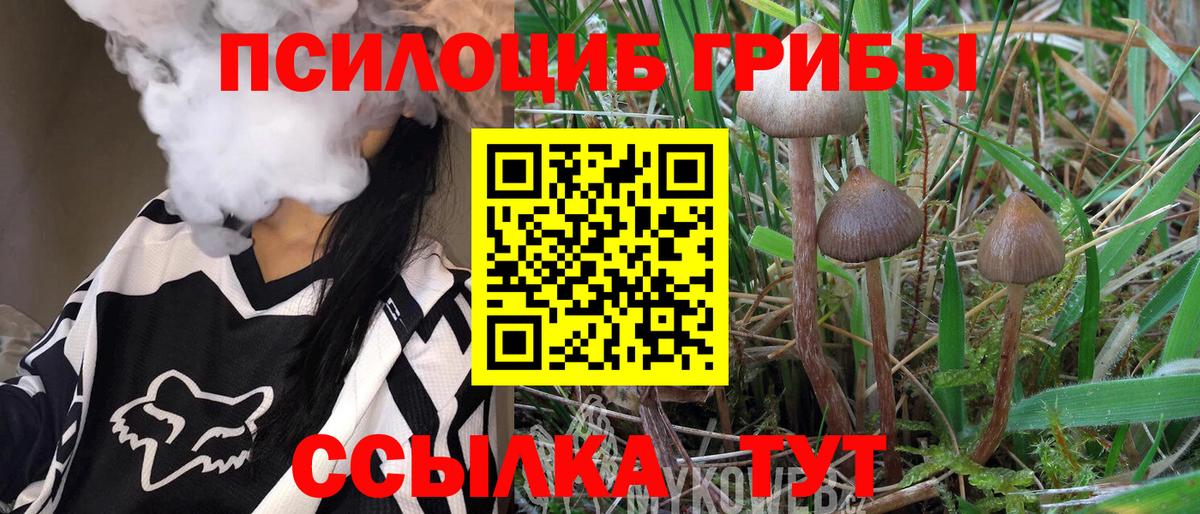 Лянтор  Галлюциногенные грибы Psilocybe  Вход с VPN 